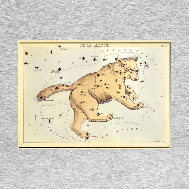 Ursa Major (the Great Bear) Constellation from Urania's Mirror by MasterpieceCafe